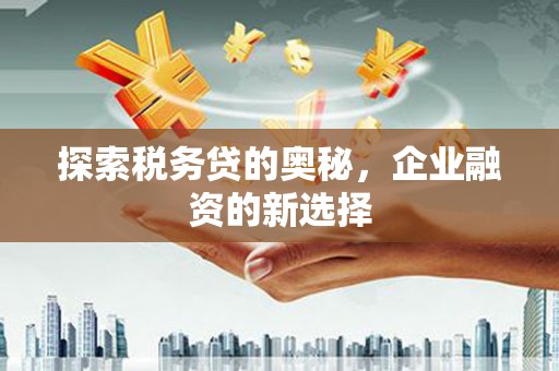 乐清探索税务贷的奥秘，企业融资的新选择