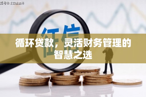 乐清循环贷款，灵活财务管理的智慧之选