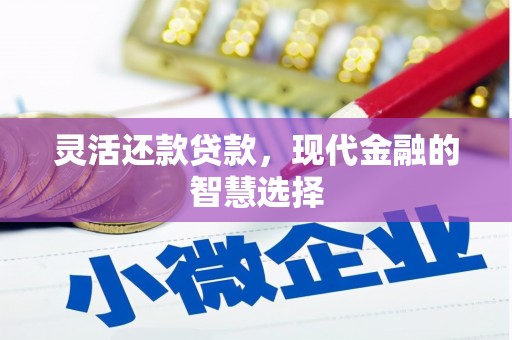 乐清灵活还款贷款，现代金融的智慧选择