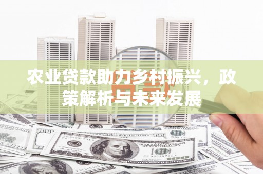 乐清农业贷款助力乡村振兴，政策解析与未来发展