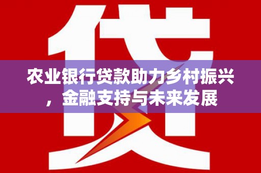 乐清农业银行贷款助力乡村振兴，金融支持与未来发展