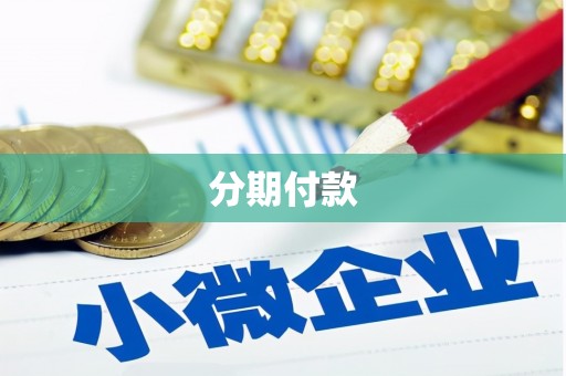 乐清分期付款