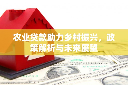 乐清农业贷款助力乡村振兴，政策解析与未来展望