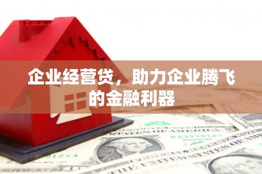 乐清企业经营贷，助力企业腾飞的金融利器