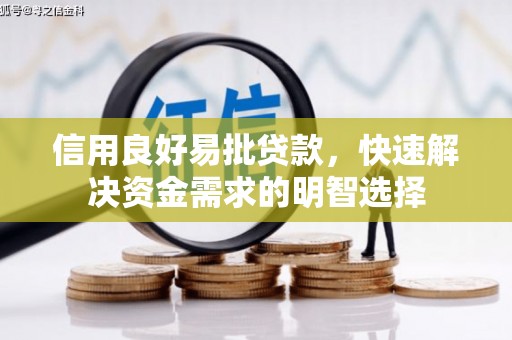 乐清信用良好易批贷款，快速解决资金需求的明智选择