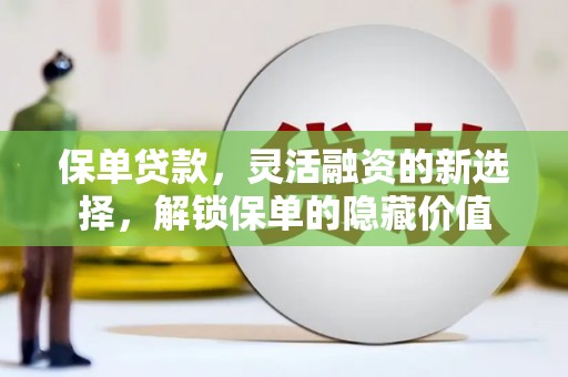 乐清保单贷款，灵活融资的新选择，解锁保单的隐藏价值
