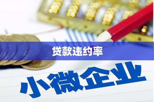 乐清贷款违约率
