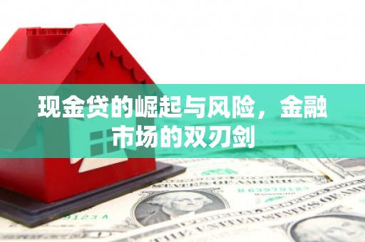 乐清现金贷的崛起与风险，金融市场的双刃剑