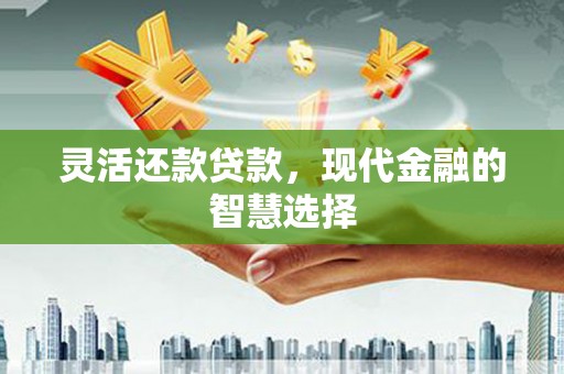 乐清灵活还款贷款，现代金融的智慧选择