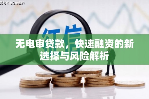 乐清无电审贷款，快速融资的新选择与风险解析