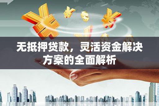 乐清无抵押贷款，灵活资金解决方案的全面解析