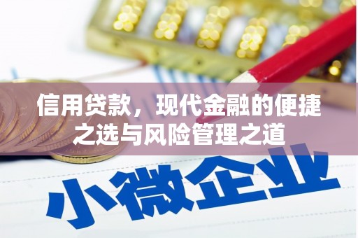 乐清信用贷款，现代金融的便捷之选与风险管理之道