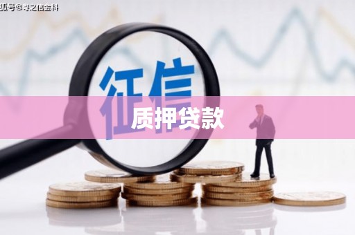 乐清质押贷款