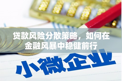 乐清贷款风险分散策略，如何在金融风暴中稳健前行