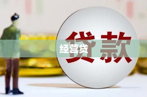 乐清经营贷