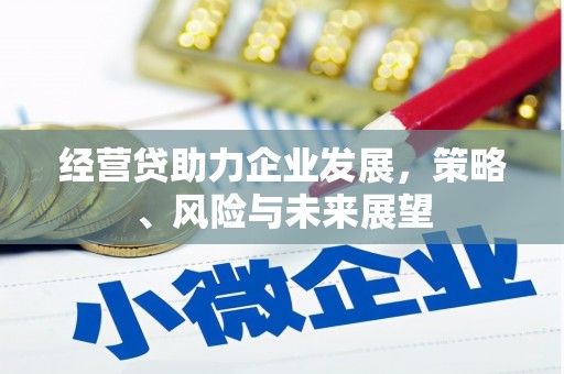 乐清经营贷助力企业发展，策略、风险与未来展望