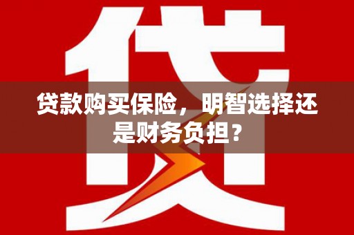 乐清贷款购买保险，明智选择还是财务负担？