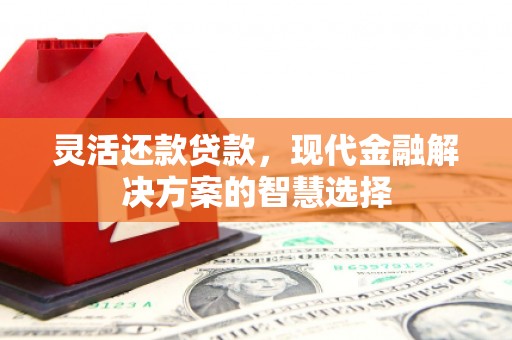 乐清灵活还款贷款，现代金融解决方案的智慧选择