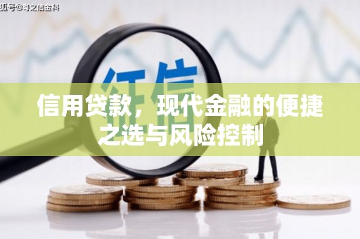 乐清信用贷款，现代金融的便捷之选与风险控制