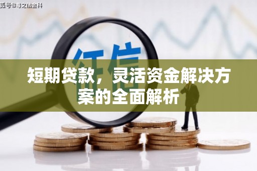 乐清短期贷款，灵活资金解决方案的全面解析