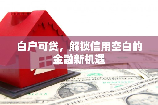 乐清白户可贷，解锁信用空白的金融新机遇