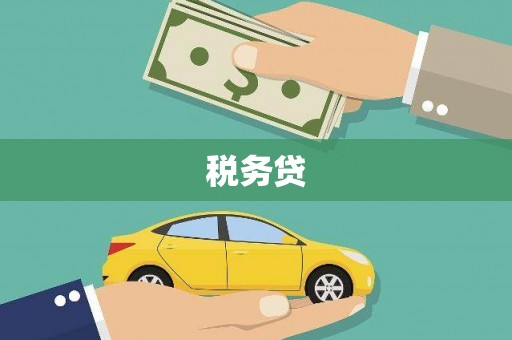 乐清税务贷