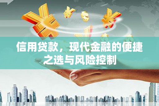 乐清信用贷款，现代金融的便捷之选与风险控制