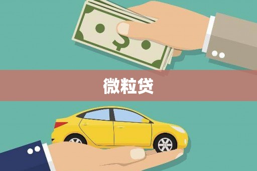 乐清微粒贷