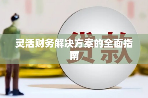 乐清灵活财务解决方案的全面指南