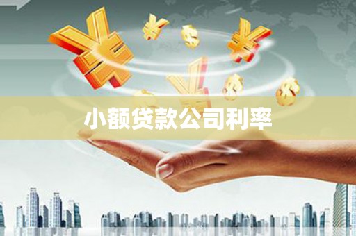 乐清小额贷款公司利率
