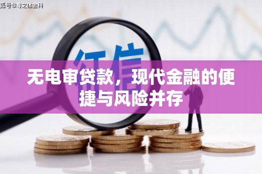 乐清无电审贷款，现代金融的便捷与风险并存