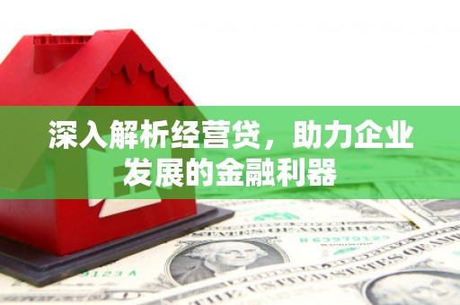 乐清深入解析经营贷，助力企业发展的金融利器