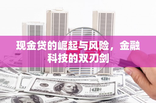 乐清现金贷的崛起与风险，金融科技的双刃剑