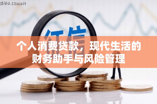 乐清个人消费贷款，现代生活的财务助手与风险管理