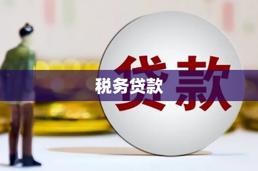乐清税务贷款