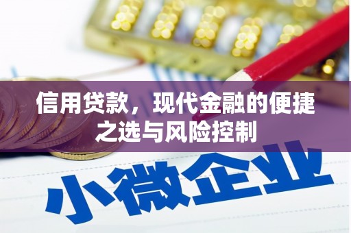 乐清信用贷款，现代金融的便捷之选与风险控制
