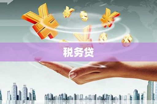 乐清税务贷