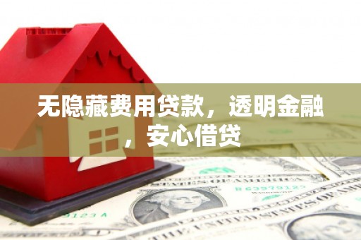 乐清无隐藏费用贷款，透明金融，安心借贷
