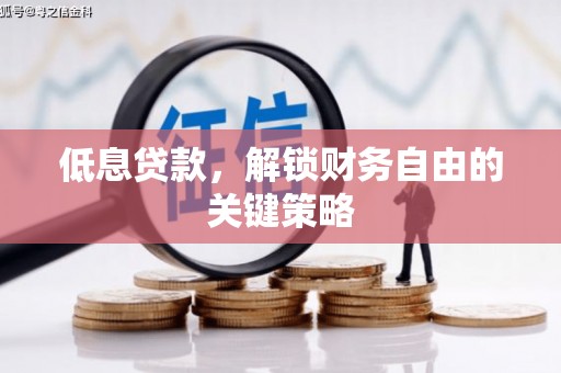 乐清低息贷款，解锁财务自由的关键策略