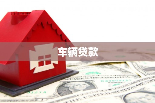乐清车辆贷款