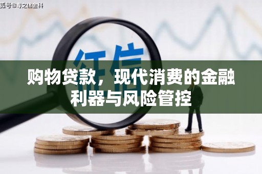 乐清购物贷款，现代消费的金融利器与风险管控