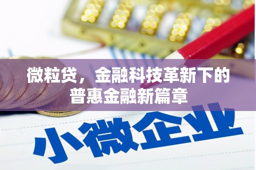 乐清微粒贷，金融科技革新下的普惠金融新篇章