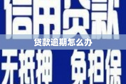 乐清贷款逾期怎么办