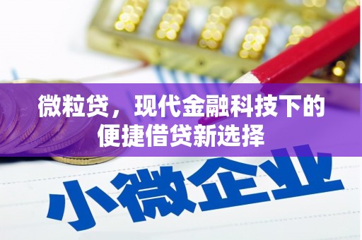 乐清微粒贷，现代金融科技下的便捷借贷新选择