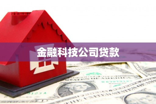 乐清金融科技公司贷款