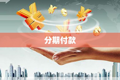乐清分期付款