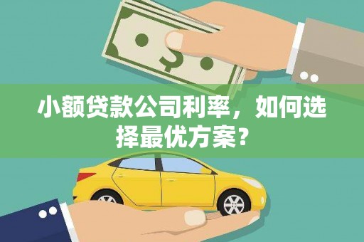 乐清小额贷款公司利率，如何选择最优方案？