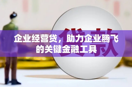 乐清企业经营贷，助力企业腾飞的关键金融工具