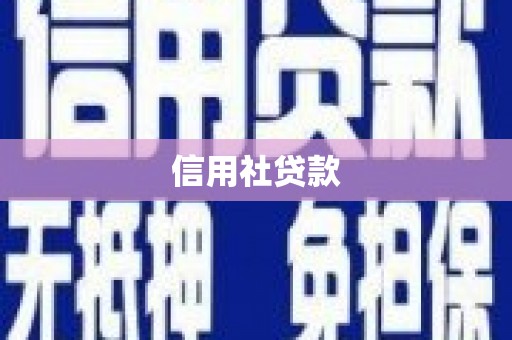 乐清信用社贷款