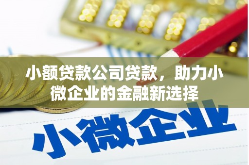 乐清小额贷款公司贷款，助力小微企业的金融新选择